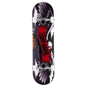 Tony Hawk SS 180 Complete Wingspan Special